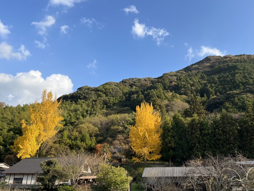 大屋窯