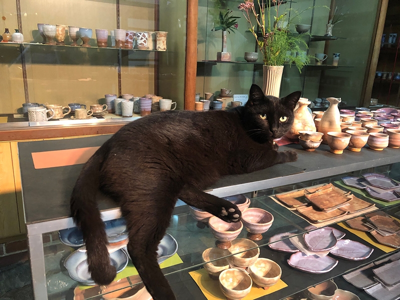 萩焼窯元 萩城窯