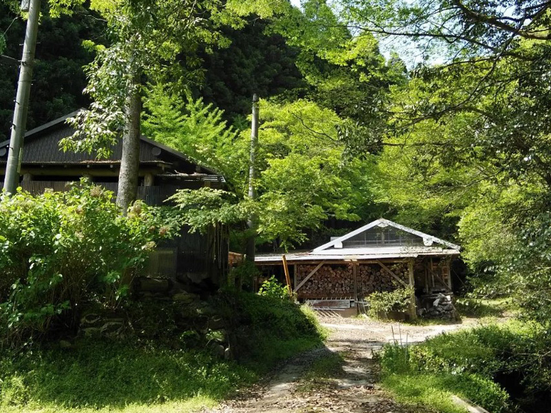 草胆庵達郎窯