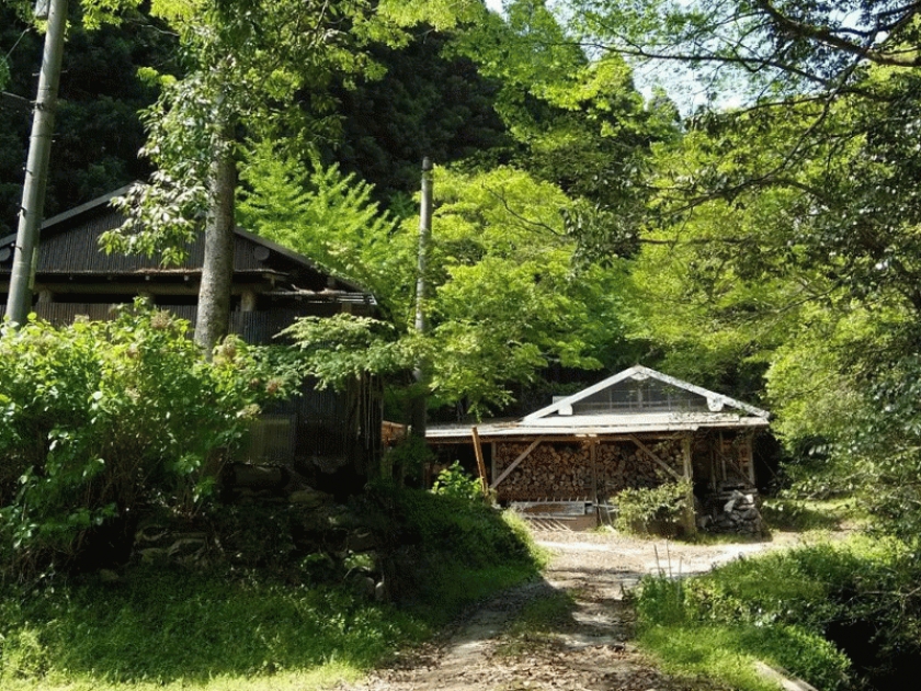 草胆庵達郎窯
