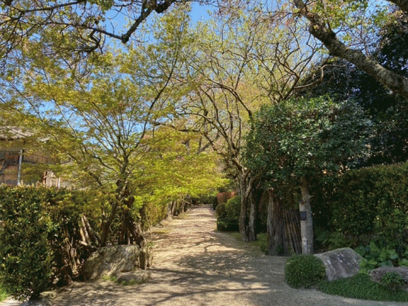 坂高麗左衛門窯
